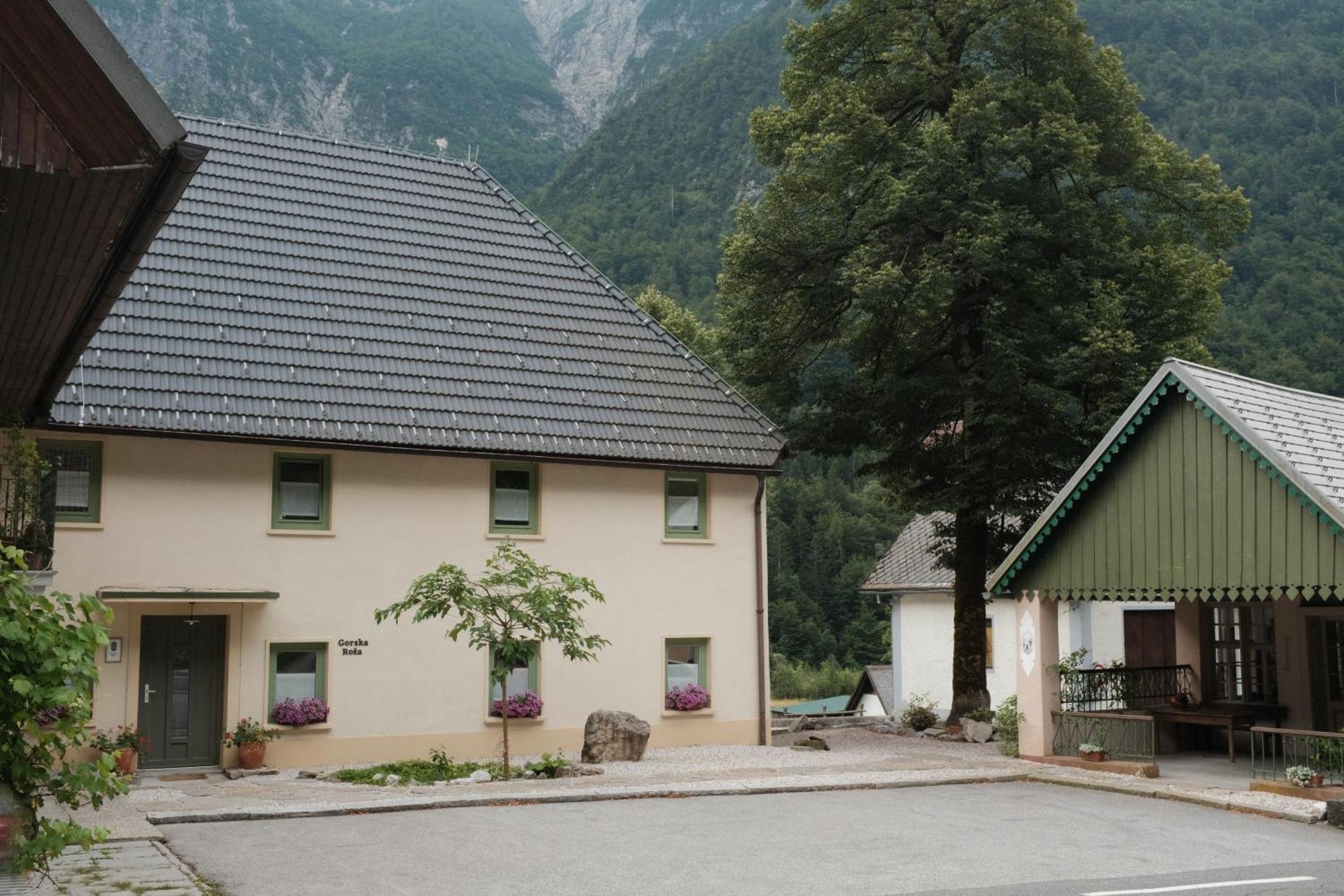 Gorska Roza Bed and Breakfast Log pod Mangartom Exteriör bild